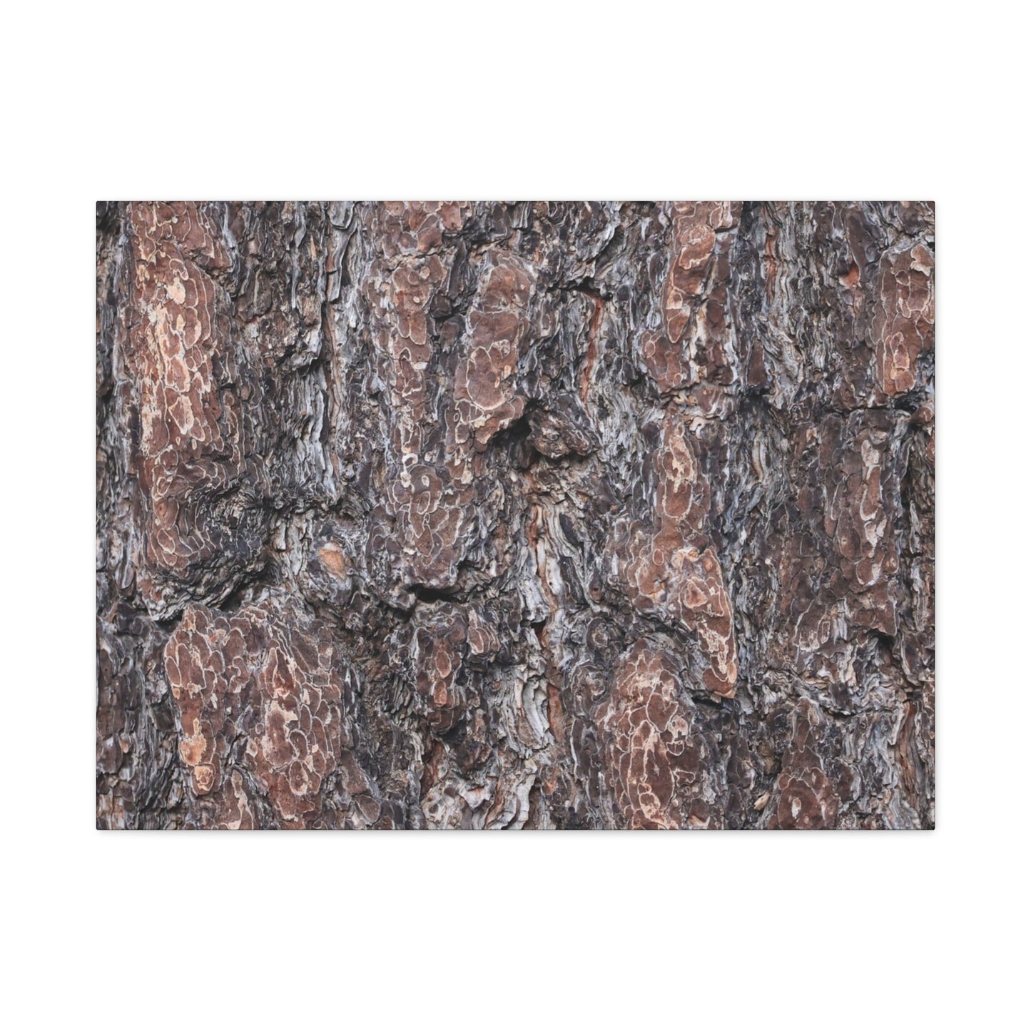 Textured Whispers of an Ancient Tree - Unique Frameless Canvas Wall Art