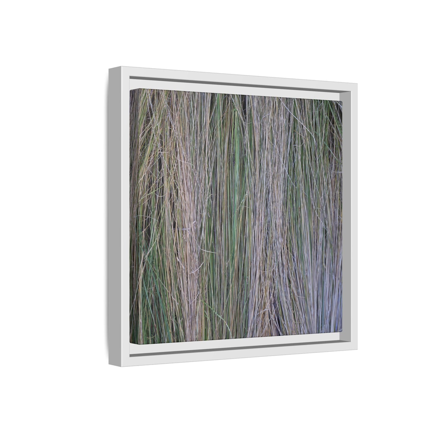 Whispers of Silver Grass - Unique Stretched Canvas Wall Art - Art By Earth