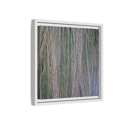 Whispers of Silver Grass - Unique Stretched Canvas Wall Art - Art By Earth