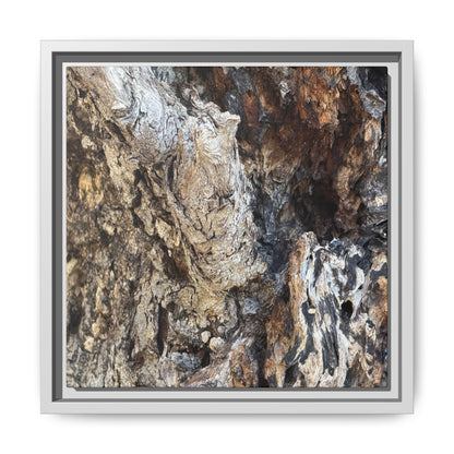 Ancient Tree Texture - Unique Stretched Canvas Wall Art - Art By Earth