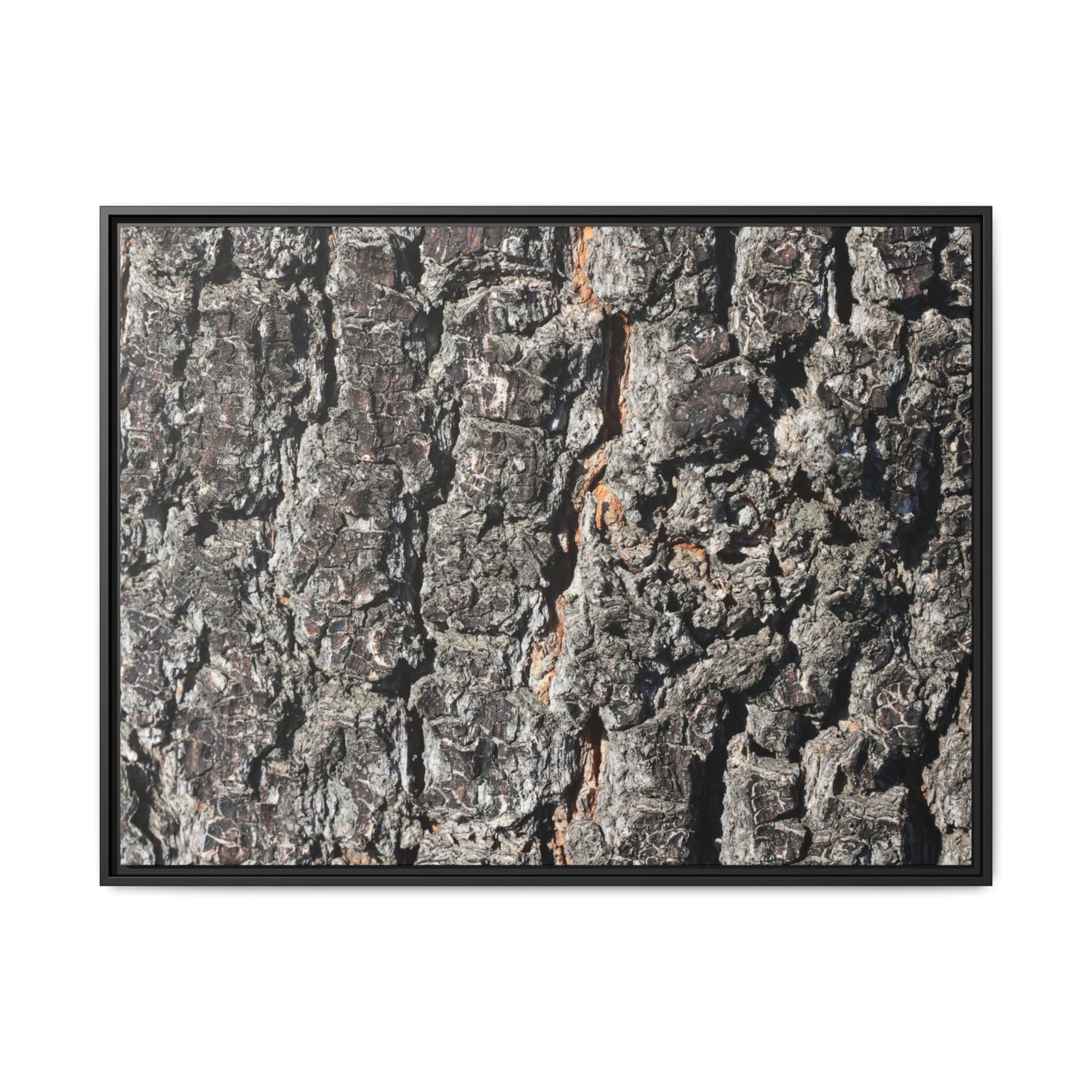 Aged Beauty - Unique Stretched Canvas Wall Art - Art By Earth