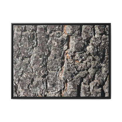 Aged Beauty - Unique Stretched Canvas Wall Art - Art By Earth