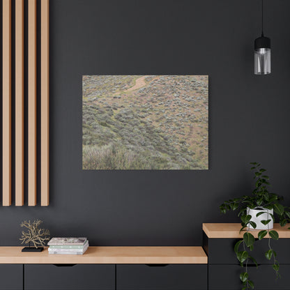 Desert Path Through Sagebrush - Unique Frameless Canvas Wall Art - Art By Earth
