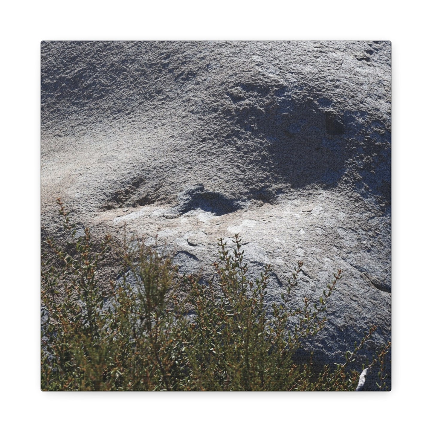 Stone Face in Nature - Unique Frameless Canvas Wall Art