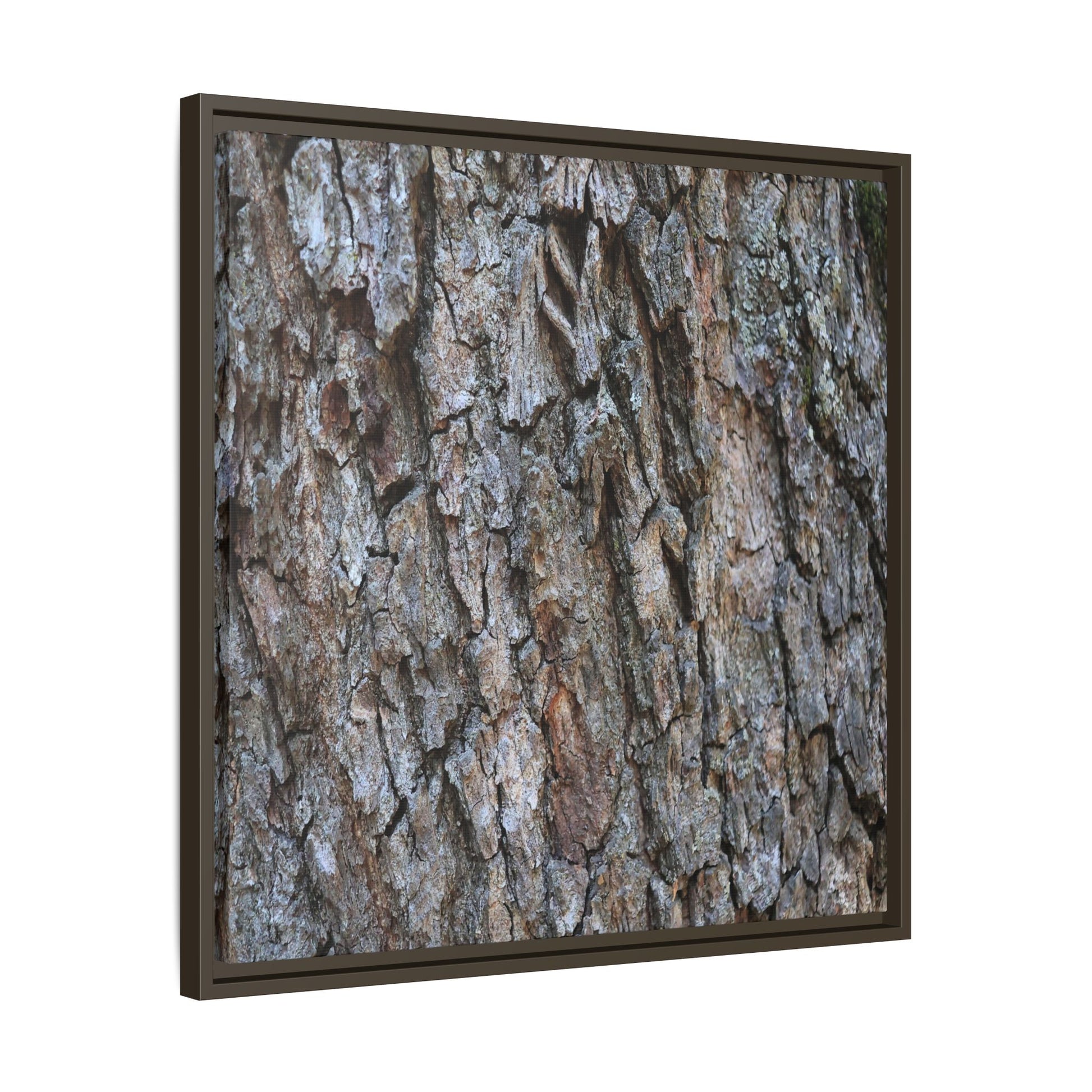 Woodland Skin - Unique Stretched Canvas Wall Art - Art By Earth