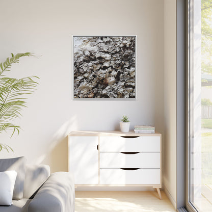 Cracked Terrain - Unique Stretched Canvas Wall Art - Art By Earth