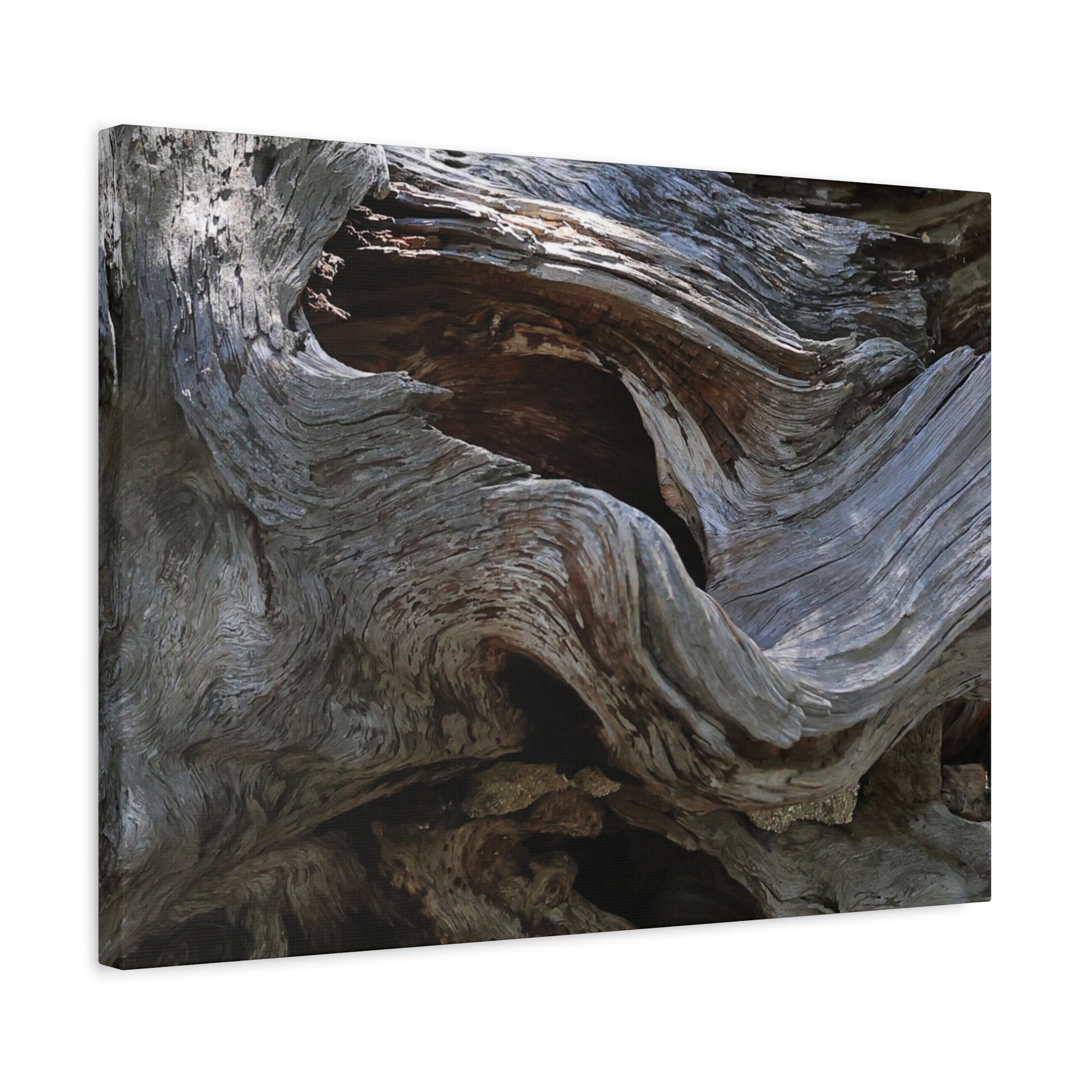 Twisted Fate - Unique Frameless Canvas Wall Art - Art By Earth