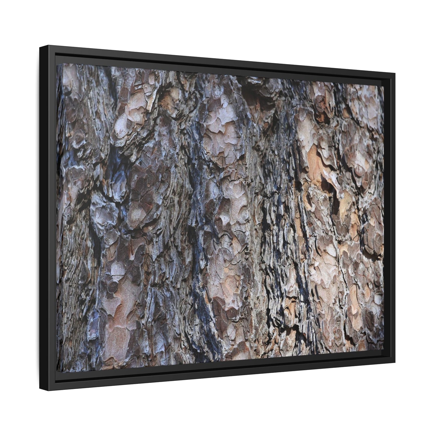 Weathered Patterns - Unique Stretched Canvas Wall Art - Art By Earth