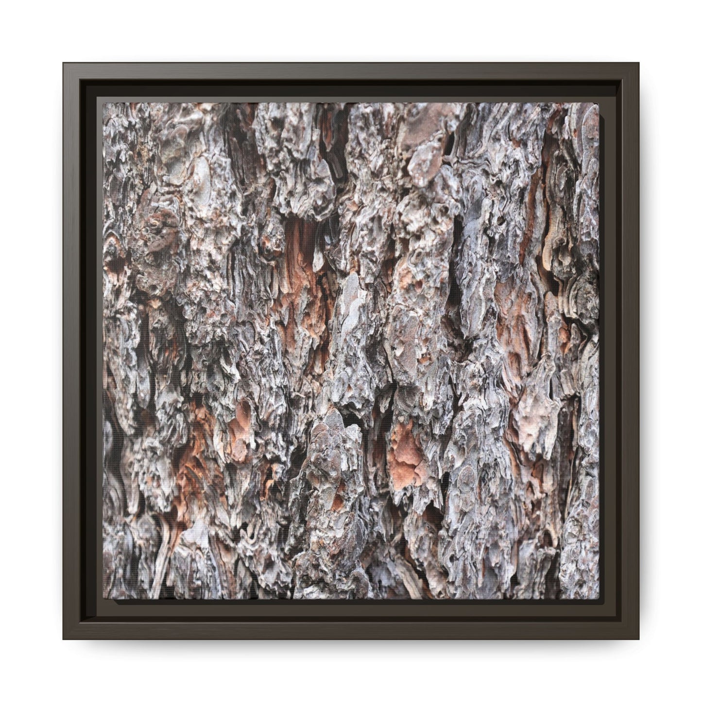 Rugged Cortex - Unique Stretched Canvas Wall Art - Art By Earth