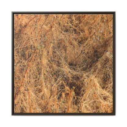 Dried Vegetation Study - Unique Stretched Canvas Wall Art - Art By Earth
