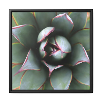 Spiky Elegance - Unique Stretched Canvas Wall Art - Art By Earth