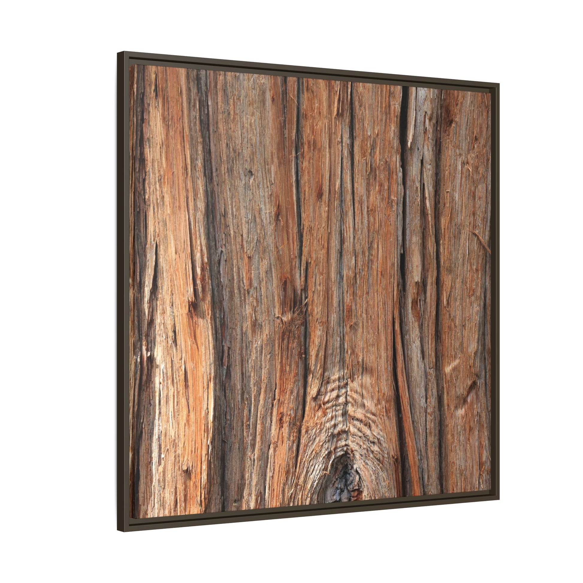 Echoes of Timber - Unique Stretched Canvas Wall Art - Art By Earth