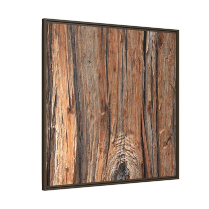 Echoes of Timber - Unique Stretched Canvas Wall Art - Art By Earth
