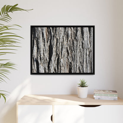 Nature's Abstract - Unique Stretched Canvas Wall Art - Art By Earth