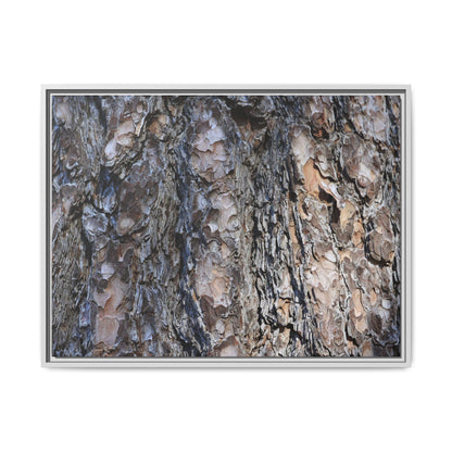 Weathered Patterns - Unique Stretched Canvas Wall Art - Art By Earth