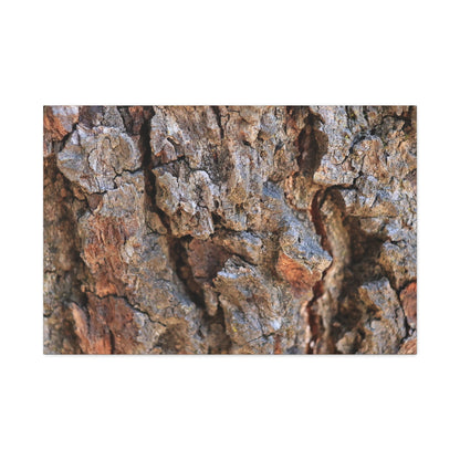 Nature's Skin - Unique Frameless Canvas Wall Art - Art By Earth