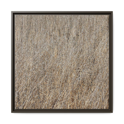Dry Straw Symphony - Unique Stretched Canvas Wall Art - Art By Earth
