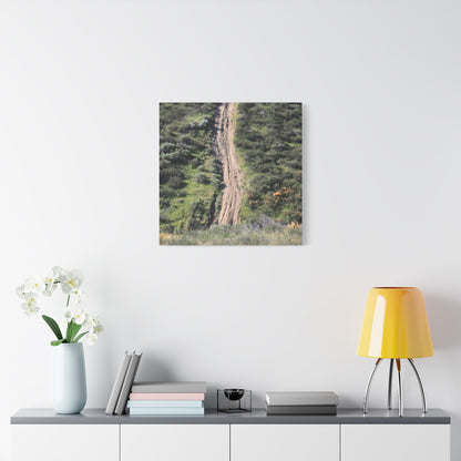 Straight Road Cutting Through Wilderness - Unique Frameless Canvas Wall Art - Art By Earth