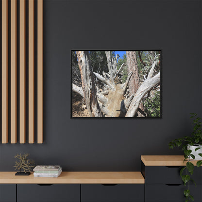Forest Sentinels - Unique Stretched Canvas Wall Art