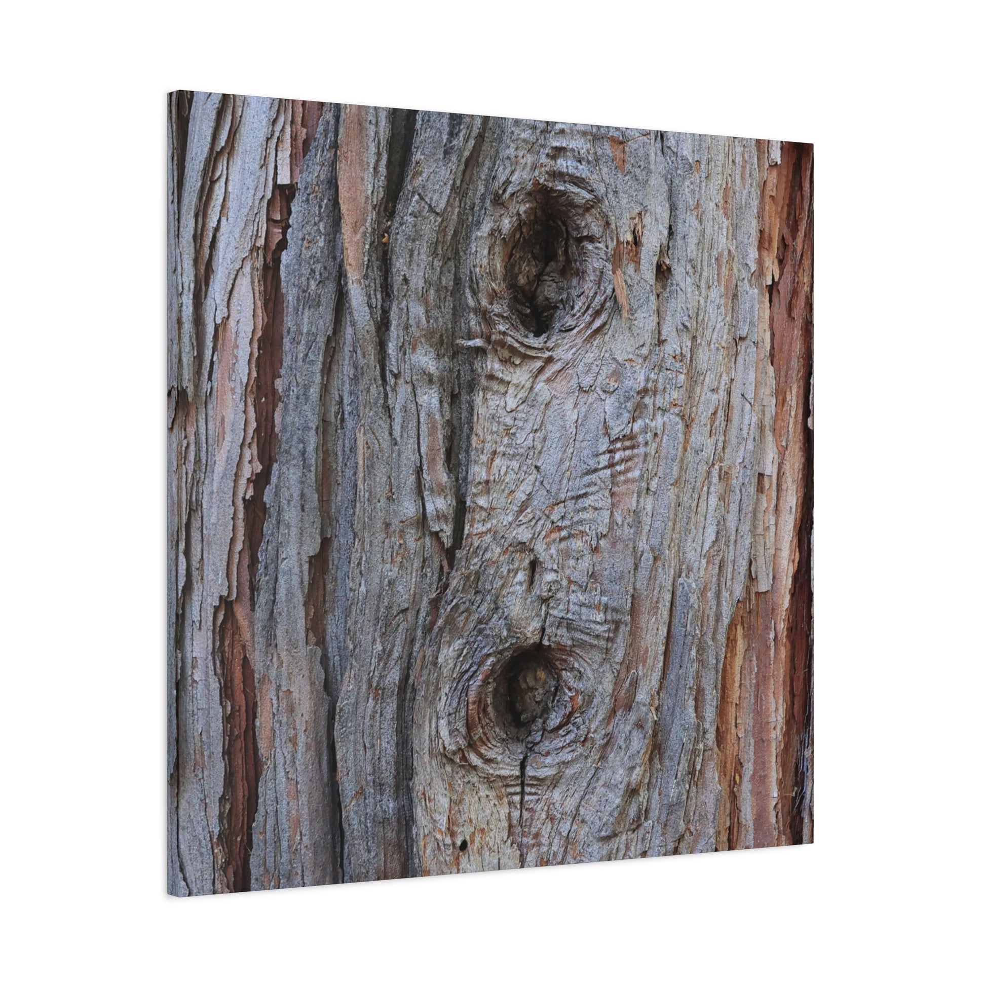 Wooden Memoir - Unique Frameless Canvas Wall Art - Art By Earth