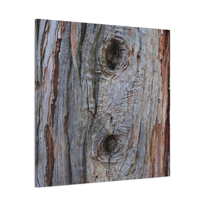 Wooden Memoir - Unique Frameless Canvas Wall Art - Art By Earth