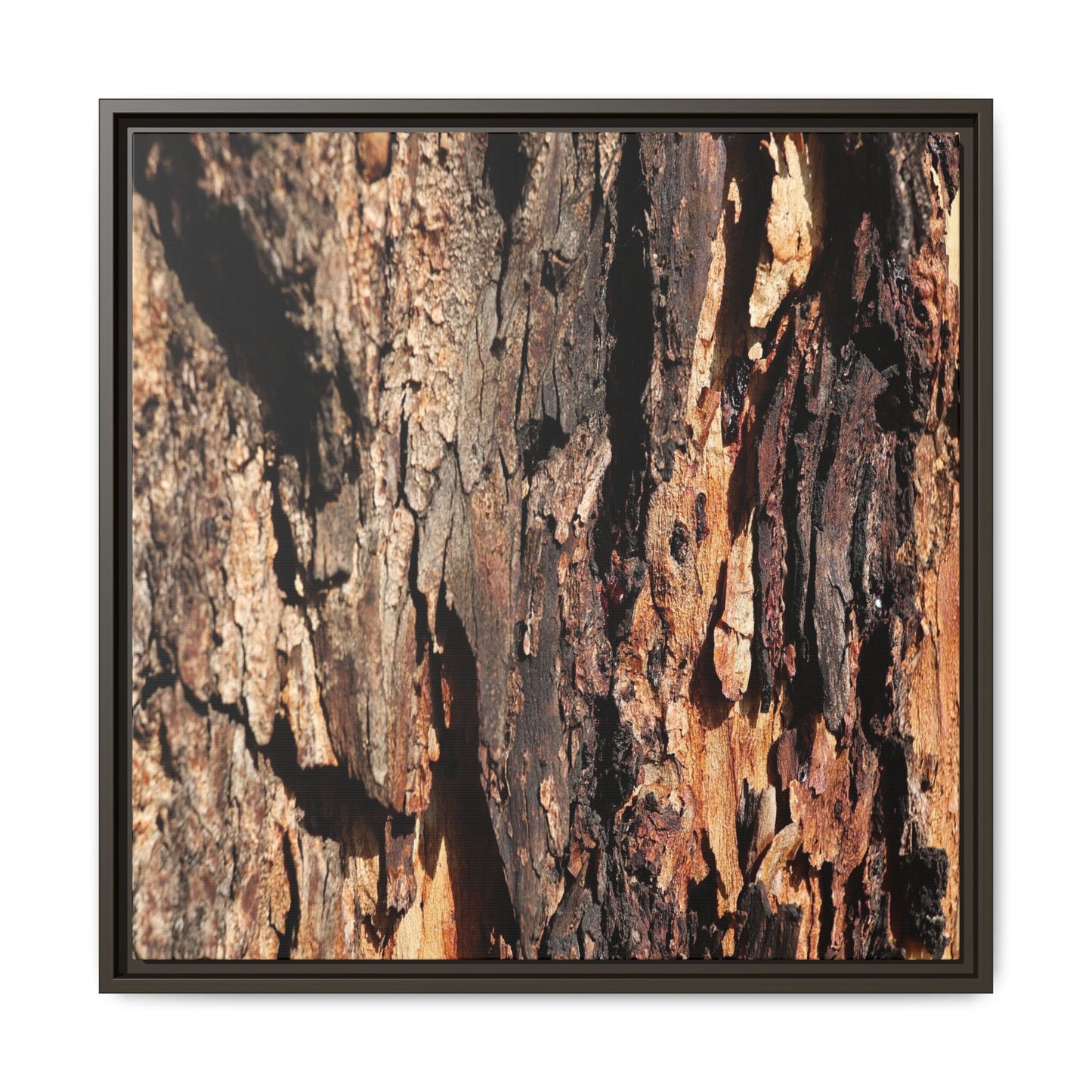 Rugged Beauty - Unique Stretched Canvas Wall Art - Art By Earth