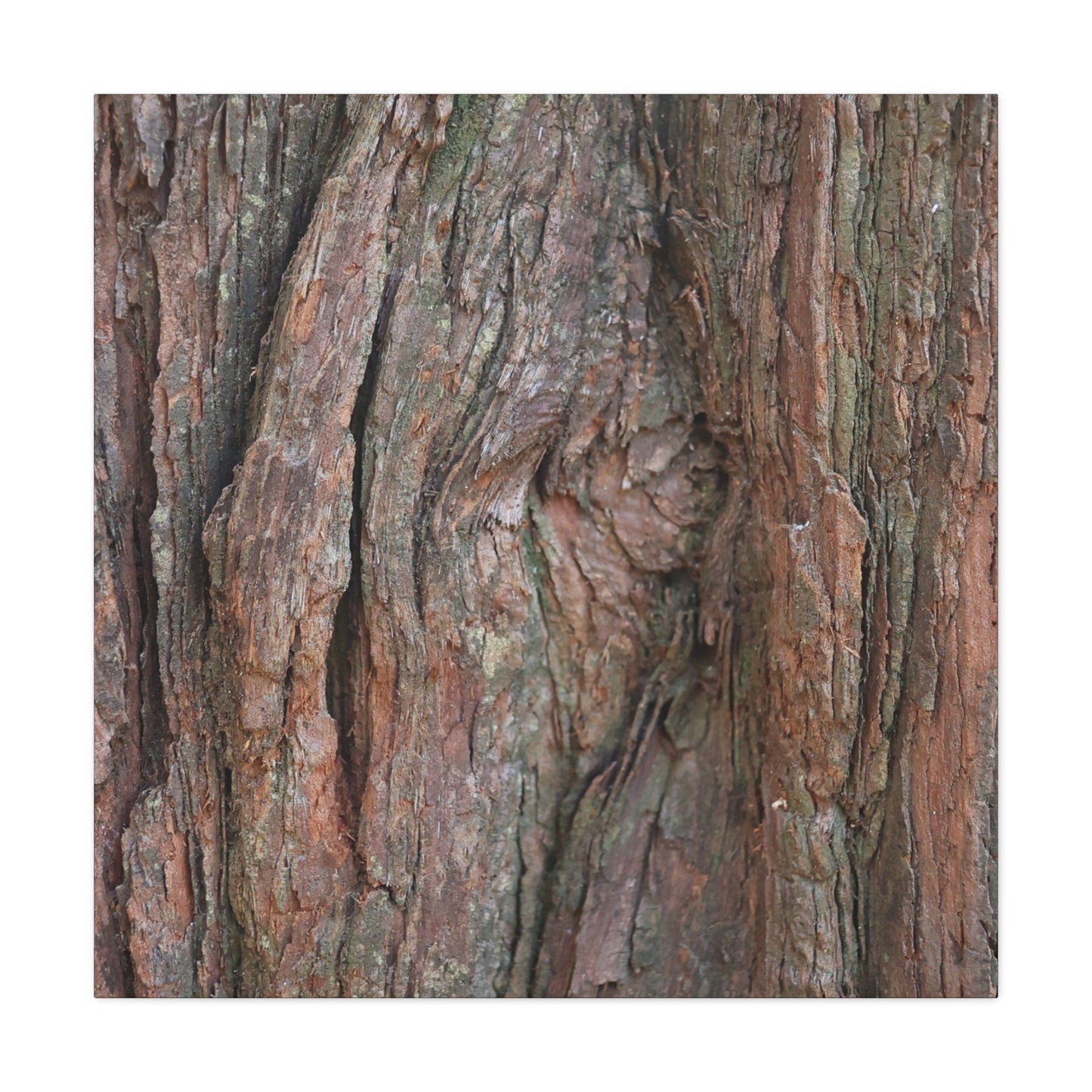 Rustic Embrace - Unique Frameless Canvas Wall Art - Art By Earth