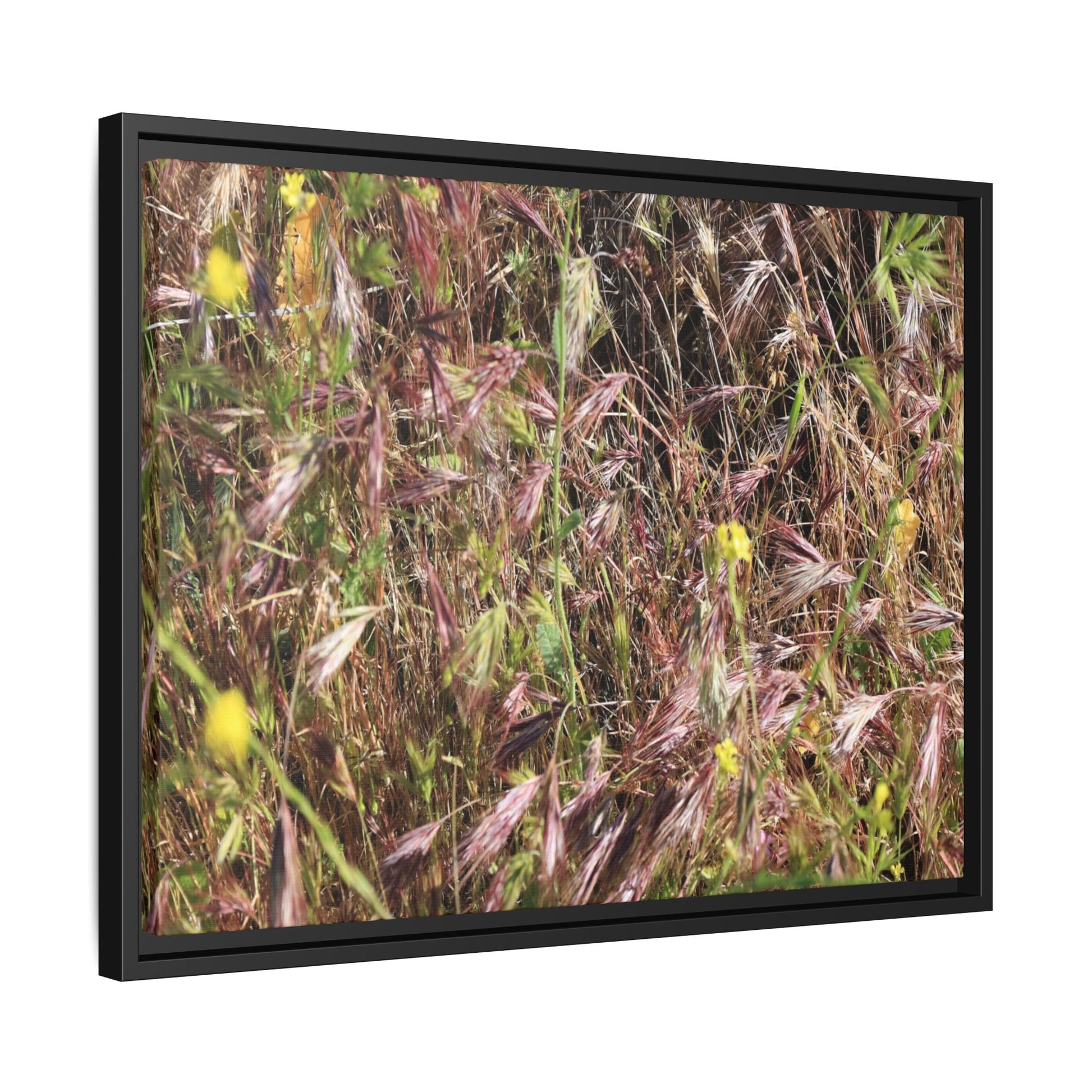 Autumn Meadow - Unique Stretched Canvas Wall Art - Art By Earth