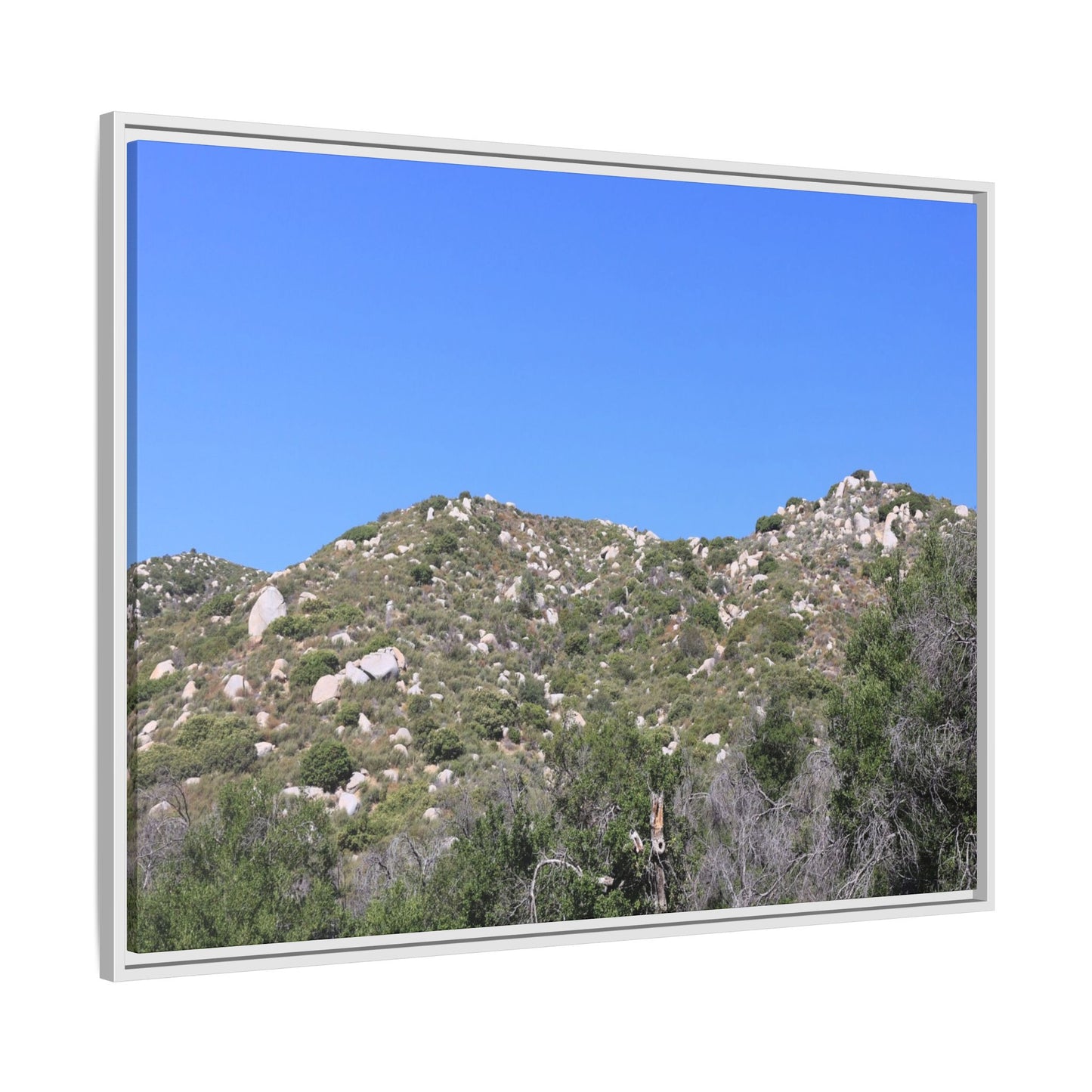 Sparse Vegetation - Unique Stretched Canvas Wall Art