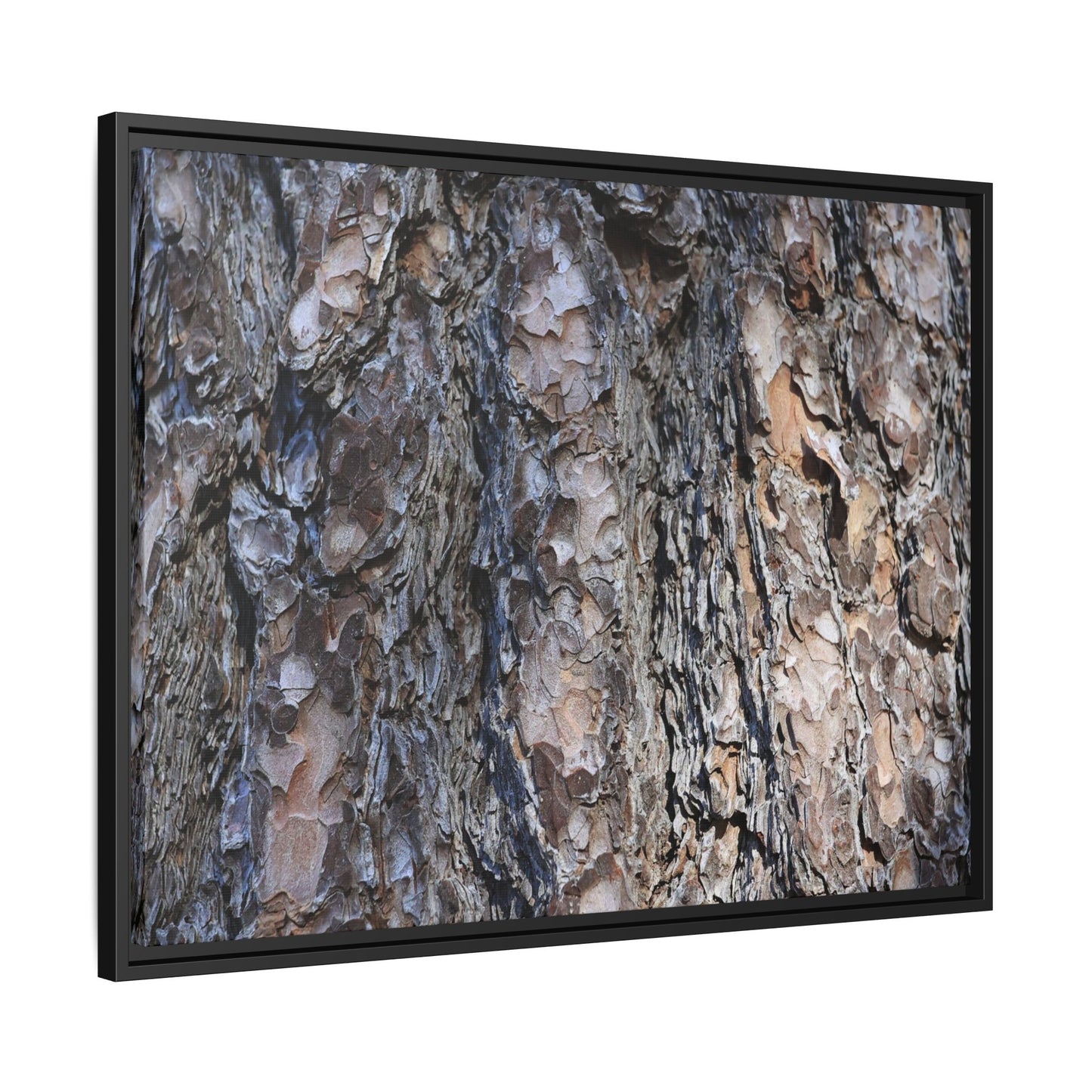 Weathered Patterns - Unique Stretched Canvas Wall Art - Art By Earth