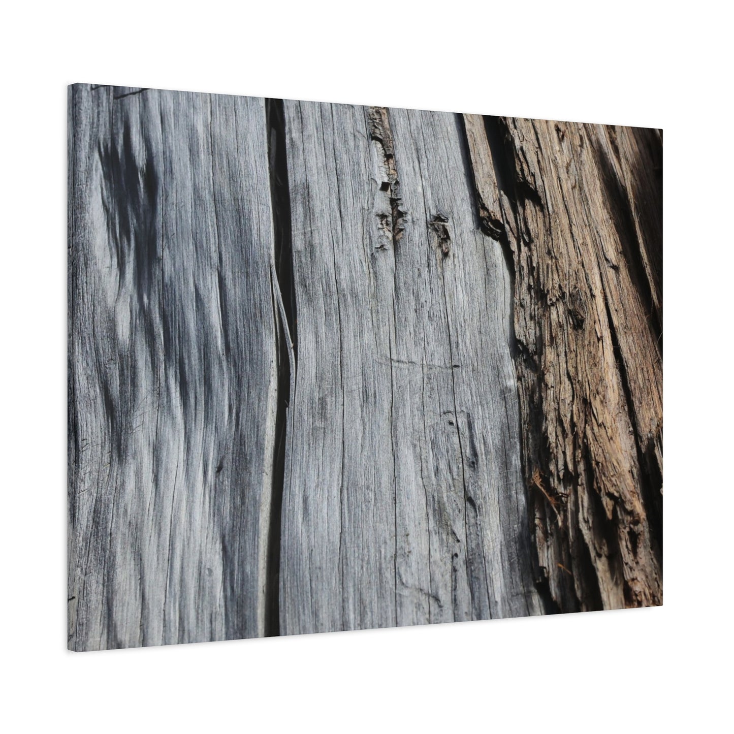 Fracture Lines - Unique Frameless Canvas Wall Art - Art By Earth
