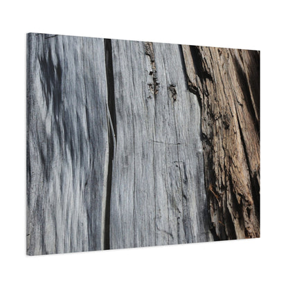 Fracture Lines - Unique Frameless Canvas Wall Art - Art By Earth