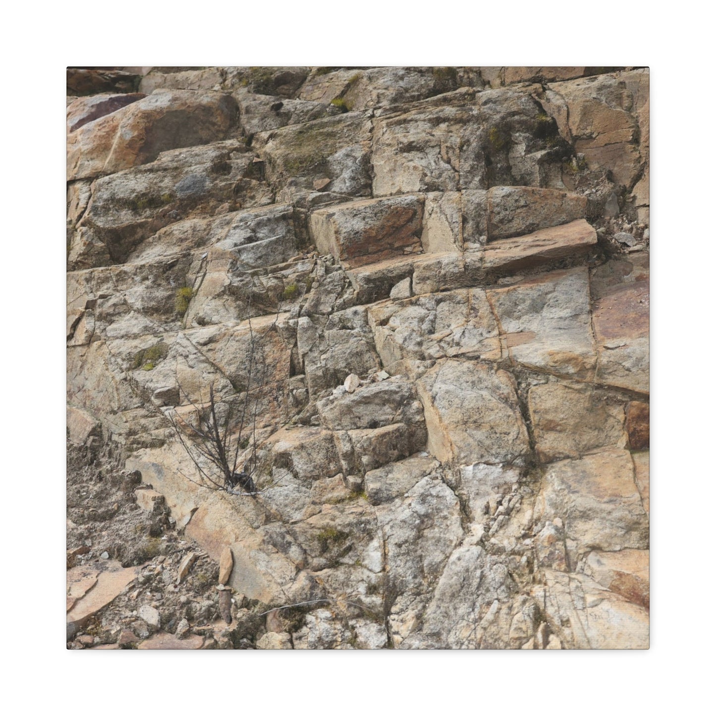 Broken Rock Canvas - Unique Frameless Canvas Wall Art - Art By Earth