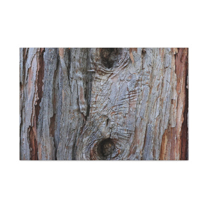 Wooden Memoir - Unique Frameless Canvas Wall Art - Art By Earth