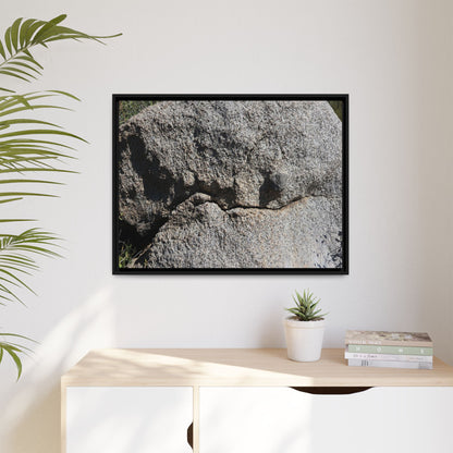 Stone Skull in Desert - Unique Stretched Canvas Wall Art