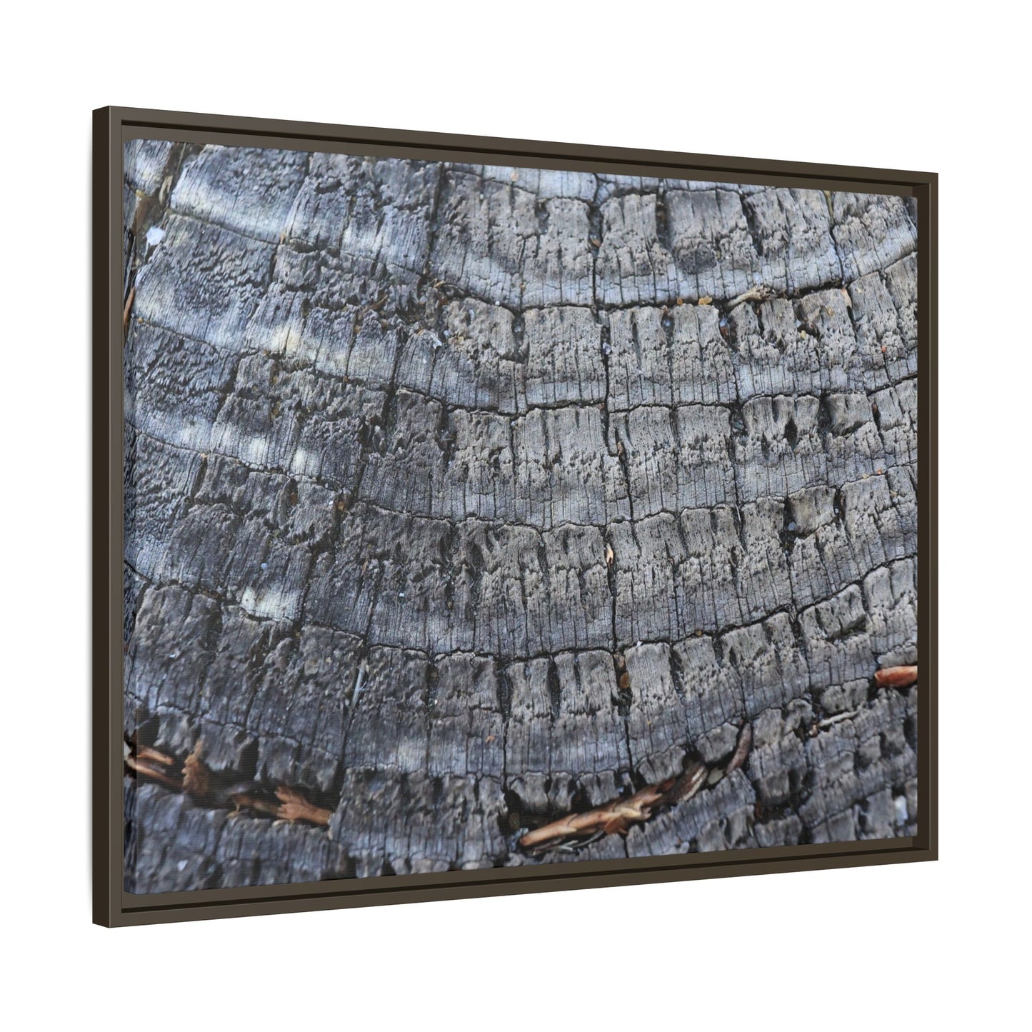 Charred Memories - Unique Stretched Canvas Wall Art - Art By Earth