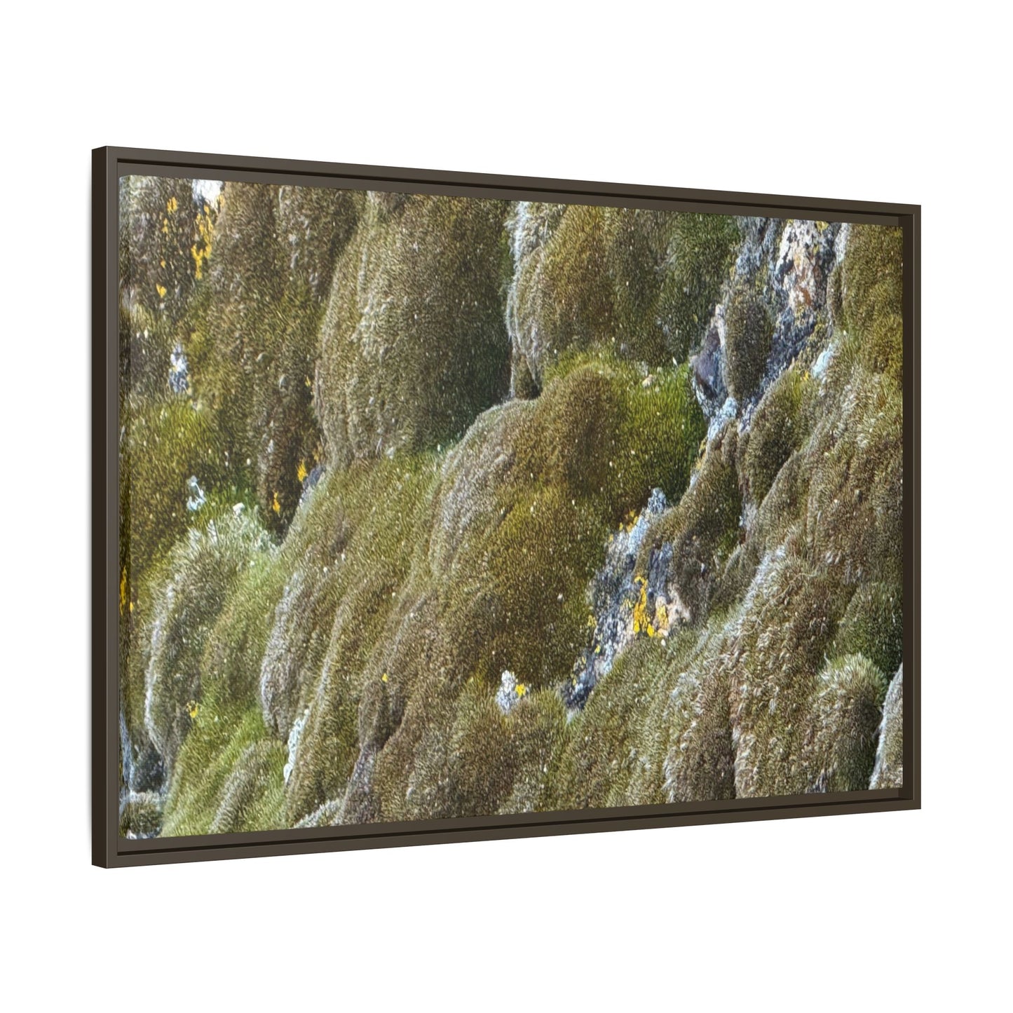 Moss Symphony - Unique Stretched Canvas Wall Art