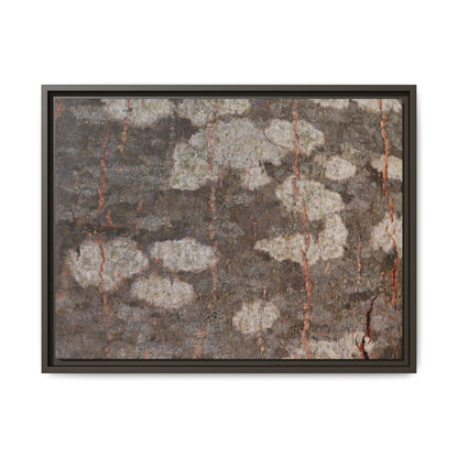Lichen's Legacy - Unique Stretched Canvas Wall Art - Art By Earth