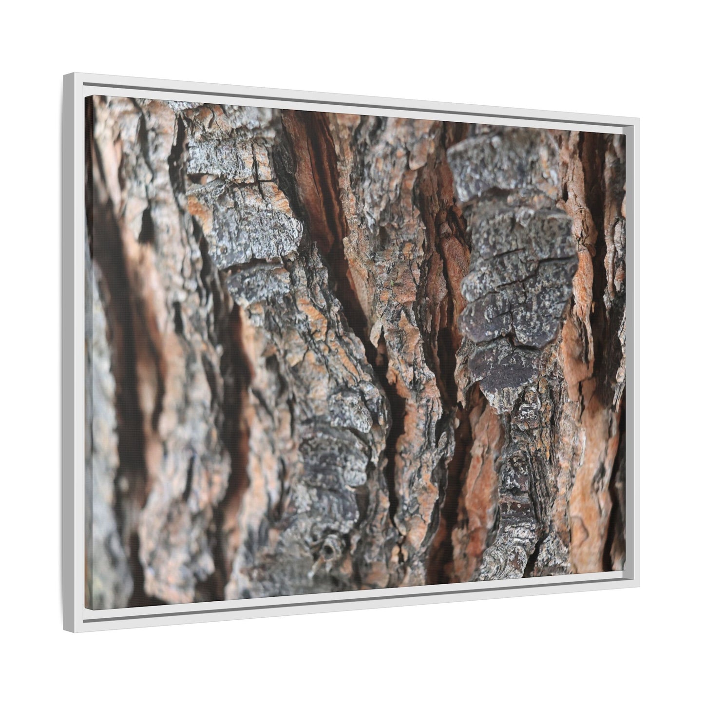Fractured Nature - Unique Stretched Canvas Wall Art - Art By Earth