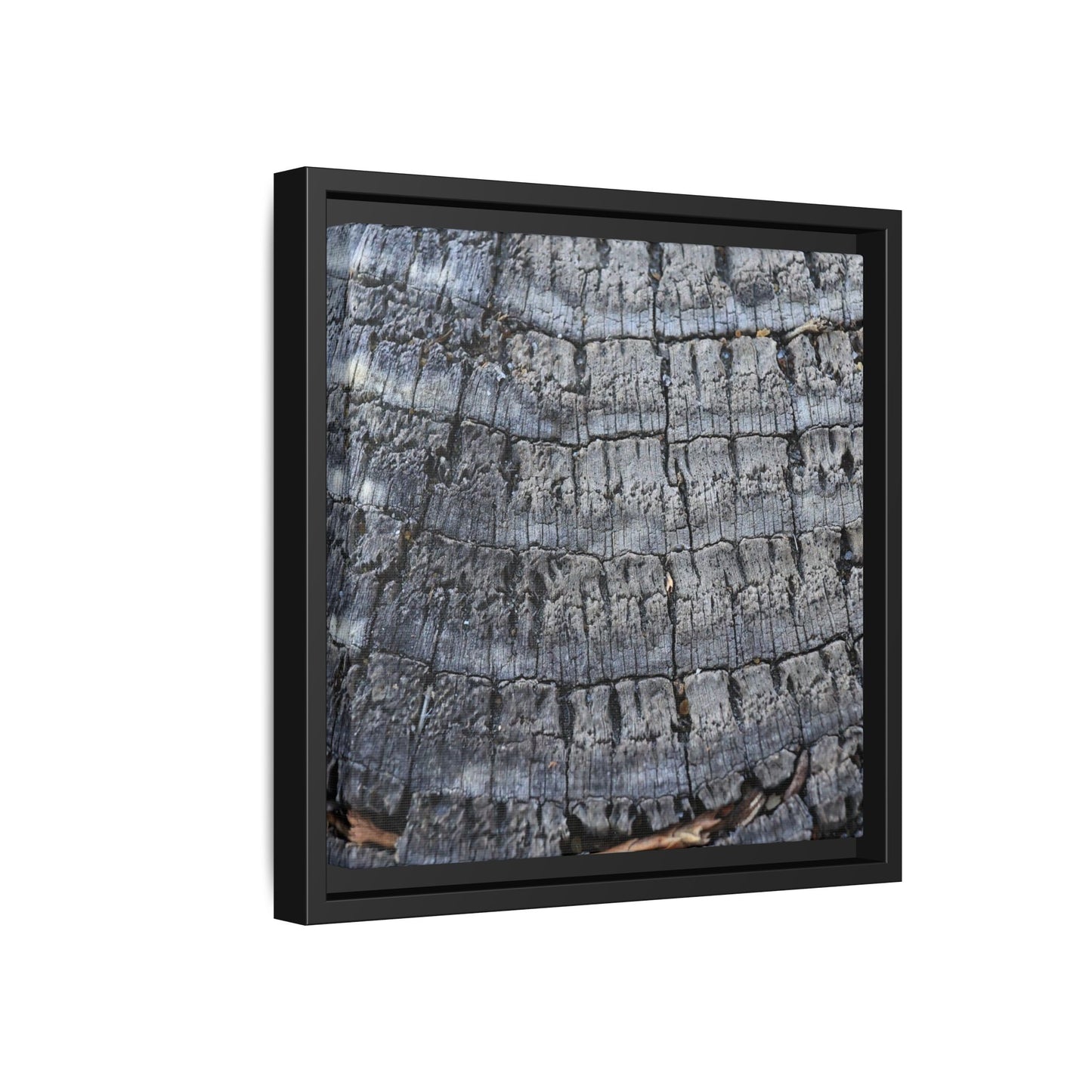 Charred Memories - Unique Stretched Canvas Wall Art - Art By Earth