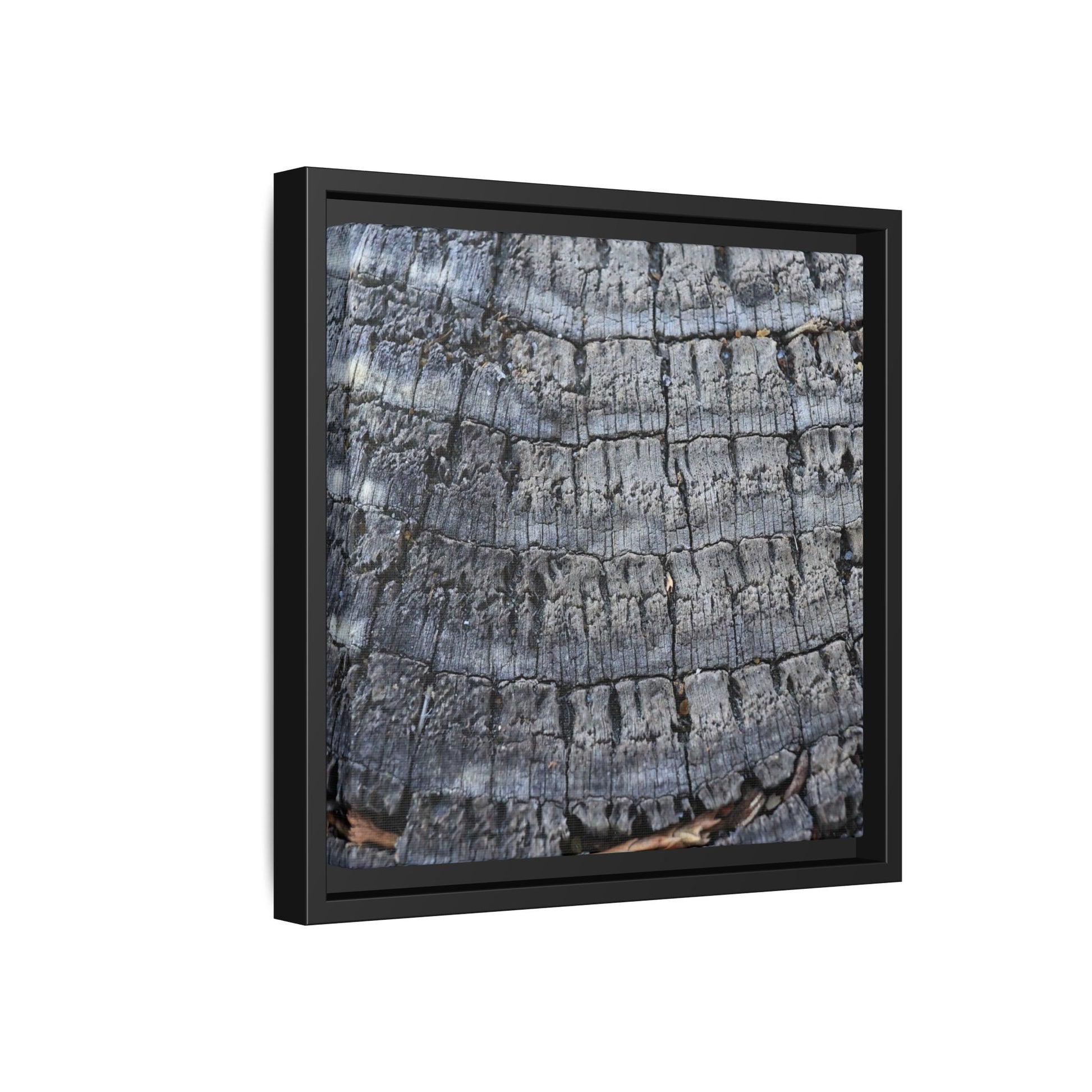Charred Memories - Unique Stretched Canvas Wall Art - Art By Earth