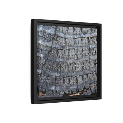 Charred Memories - Unique Stretched Canvas Wall Art - Art By Earth