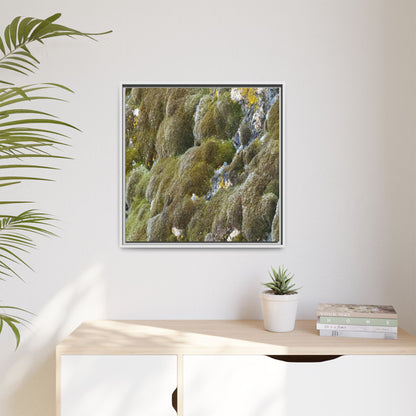 Moss Symphony - Unique Stretched Canvas Wall Art