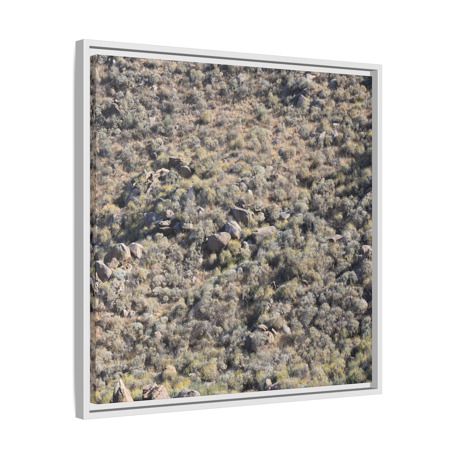 Arid Terrain Study - Unique Stretched Canvas Wall Art - Art By Earth