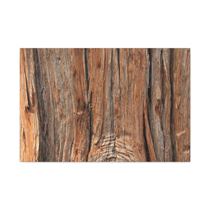 Bark's Ancient Whispers - Unique Frameless Canvas Wall Art - Art By Earth