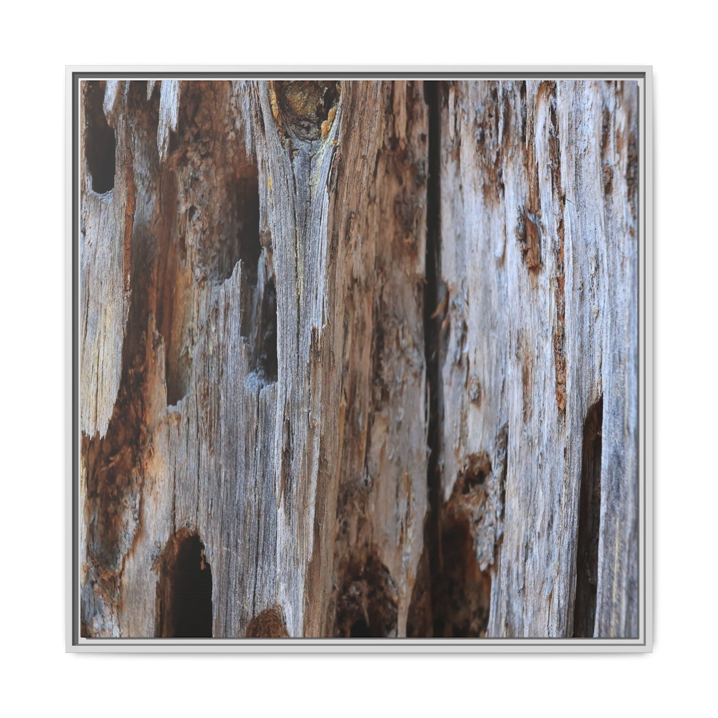 Decaying Splendor - Unique Stretched Canvas Wall Art - Art By Earth