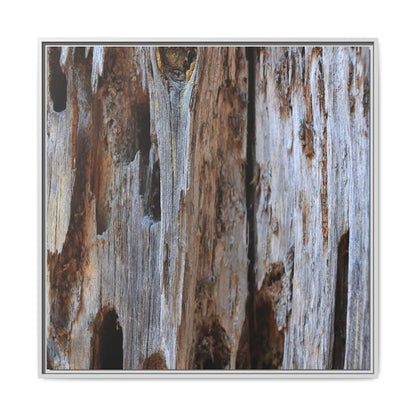 Decaying Splendor - Unique Stretched Canvas Wall Art - Art By Earth