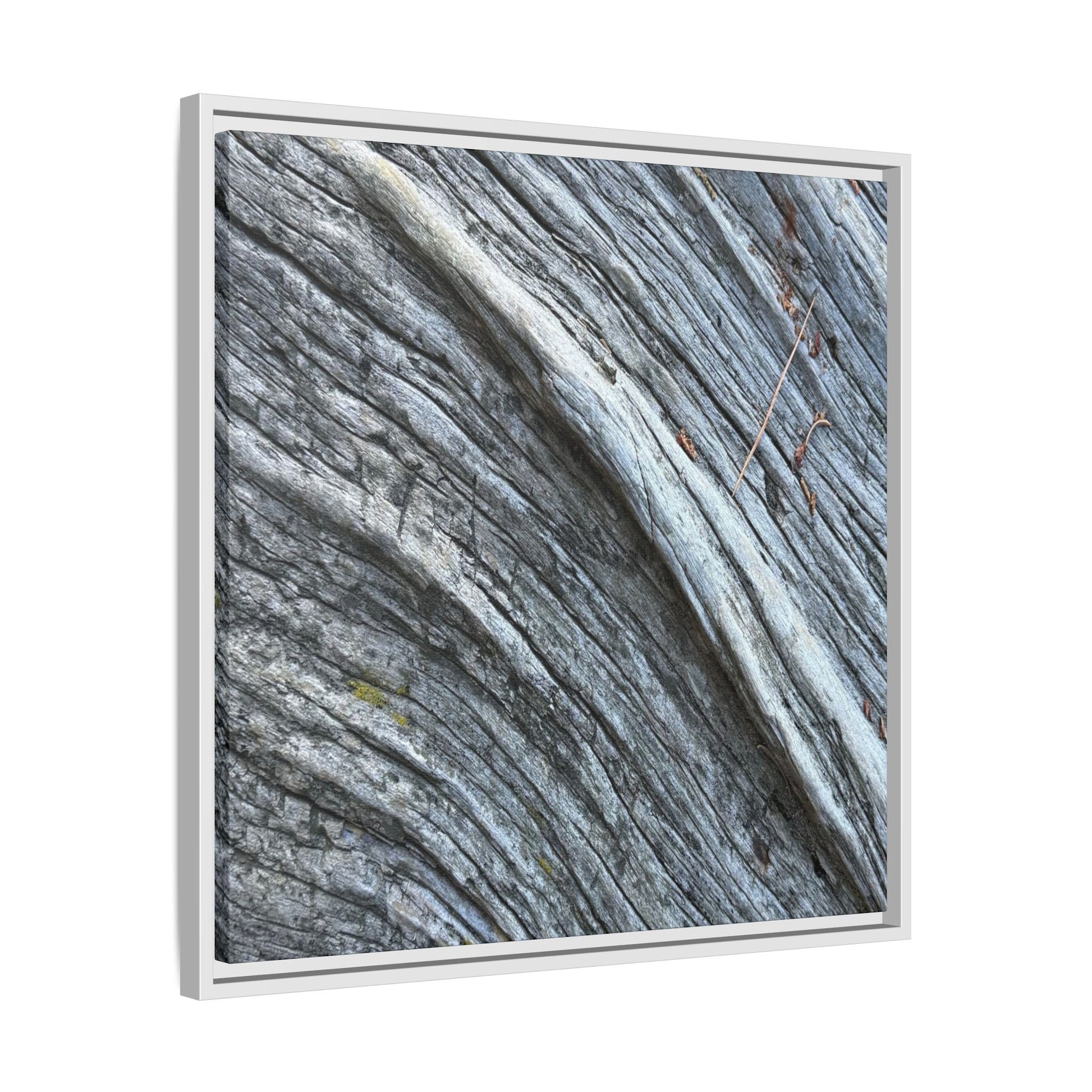 Aged Timber - Unique Stretched Canvas Wall Art - Art By Earth