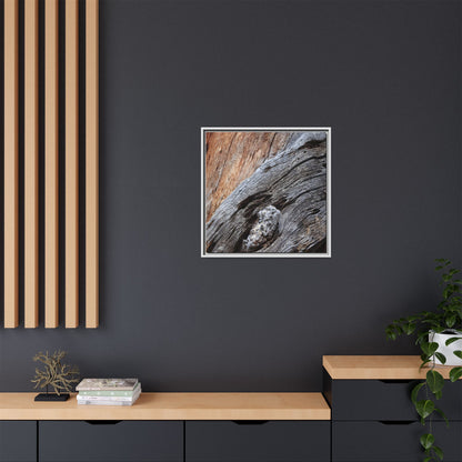 Time's Mark on Timber - Unique Stretched Canvas Wall Art - Art By Earth