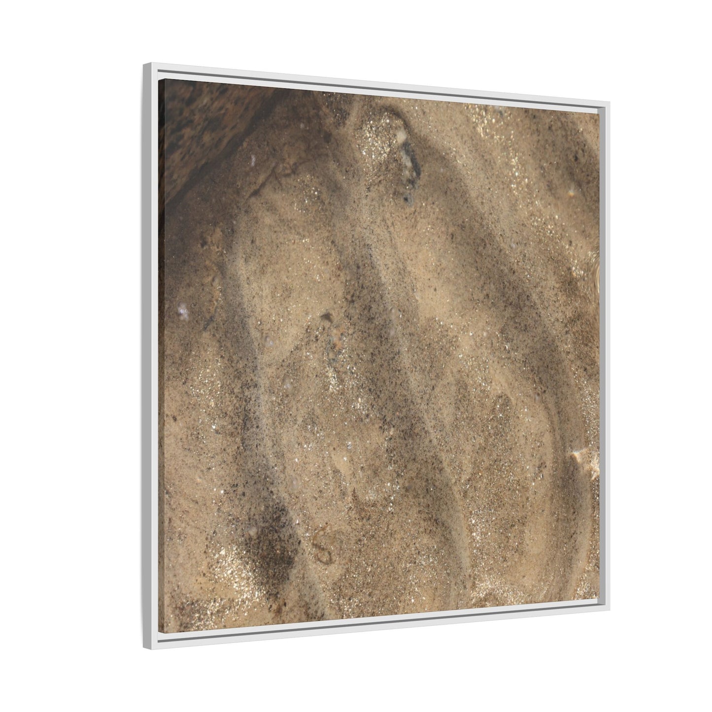Tidal Pool Secrets - Unique Stretched Canvas Wall Art - Art By Earth